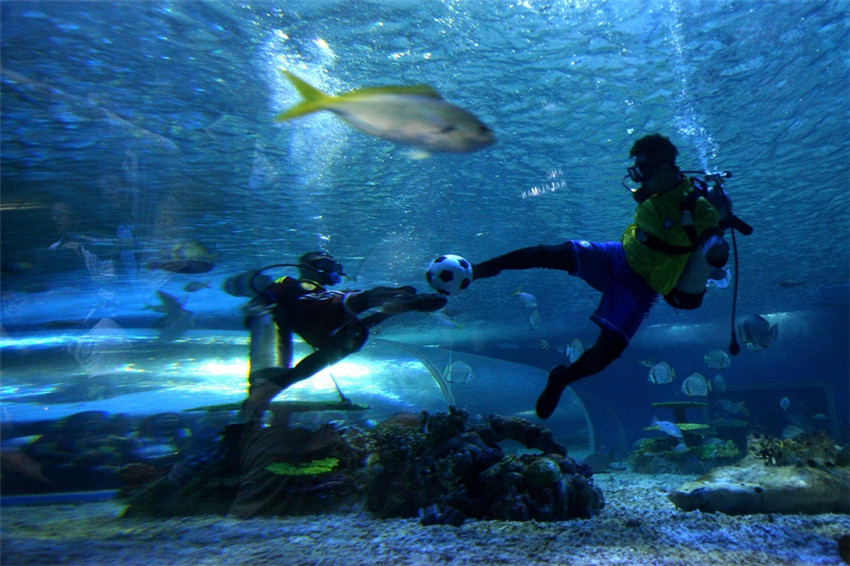 Taucher spielen im Ocean Park im ostchinesischen Shandong unter Wasser Fußball