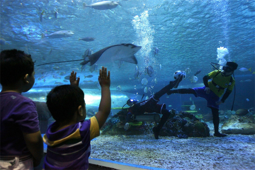 Taucher spielen im Ocean Park im ostchinesischen Shandong unter Wasser Fußball