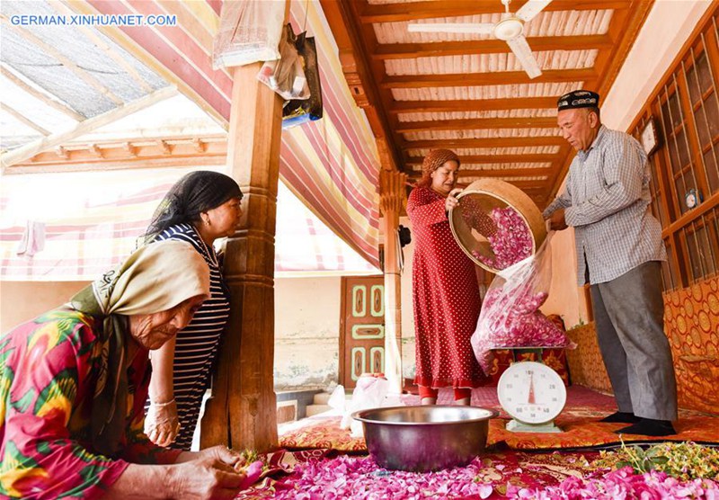 Leute verdienen durch Herstellung von Rosensoße in Xinjiang