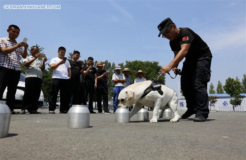 Tag der offenen Tür für Spürhund in Shandong abgehalten