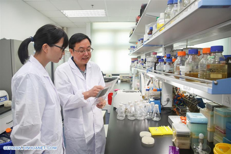 China Focus: Chinesische Wissenschaftler führen eine genetische Operation durch, um die erste Einzel-Chromosom-Hefe zu erzeugen