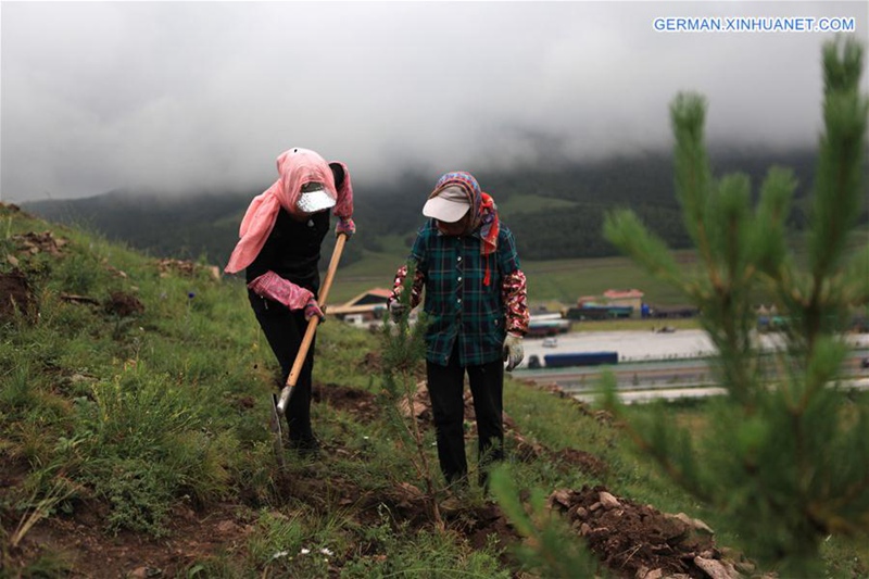 Arbeiter fördern den ökologischen Schutz durch Aufforstung in Hebei