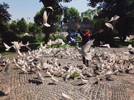 Dieser Senior kann einen Schwarm Tauben mit dem einfachen Ruf "Komm!" anlocken.Und schwupps, ist der 63-jährige Xu Jianyun von Tauben umgeben wie ein Boss. 