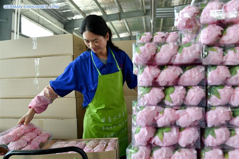 Herstellung künstlicher Blumen dient Armutsbefreiung in Ningxia