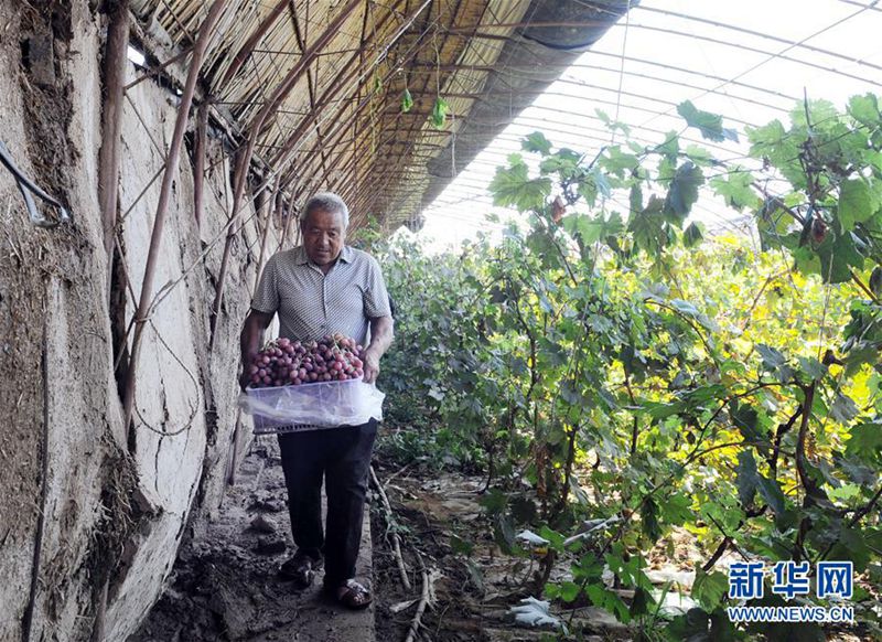 Effektiver Kampf gegen Verwüstung in Zhongwei, Ningxia
