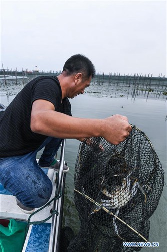 Taihu-See: Fischer in der Erntezeit für Krabben