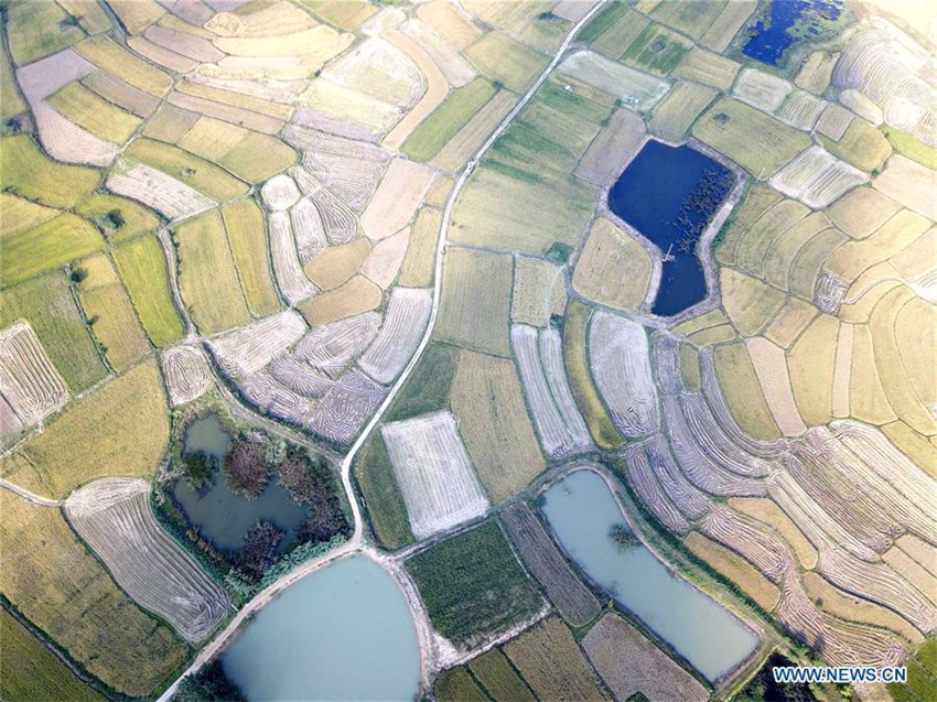 Luftaufnahme des Dorfes Xiaogang in Anhui