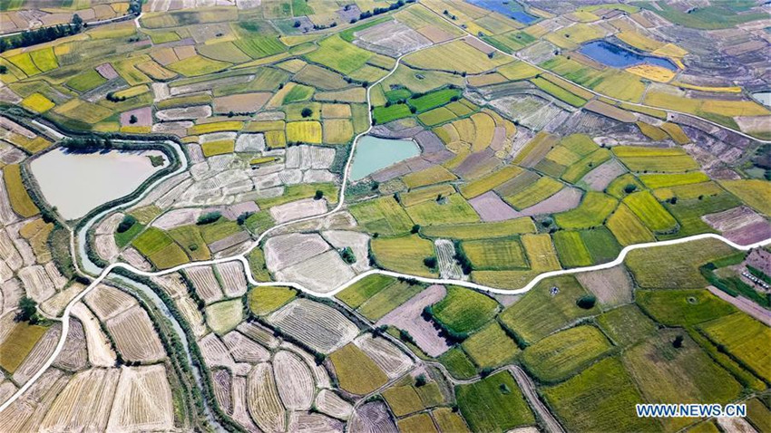 Luftaufnahme des Dorfes Xiaogang in Anhui