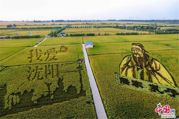 Reisfeldkunst in Shenyang erschafft ein Märchenland