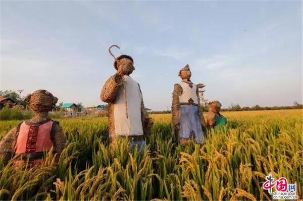 Reisfeldkunst in Shenyang erschafft ein Märchenland