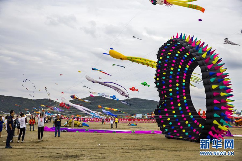 Zhejiang organisiert Drachenwettbewerb