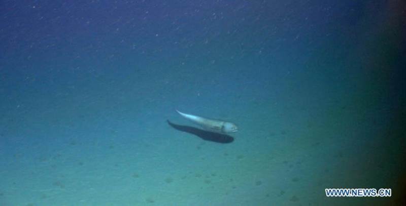 Chinas Unterwasserroboter setzt Tiefenrekord 