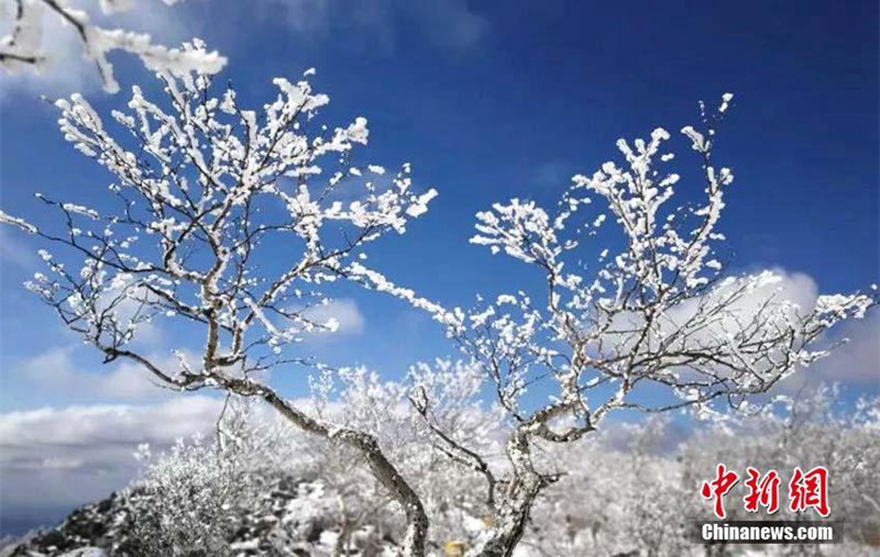 Minus 38 Grad Celsius: schöner Raureif in der kältesten Gemeinde Chinas