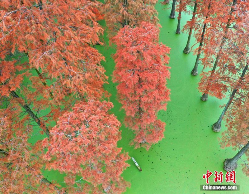 Winterlandschaft von Feuchtgebiet Zhangduhu