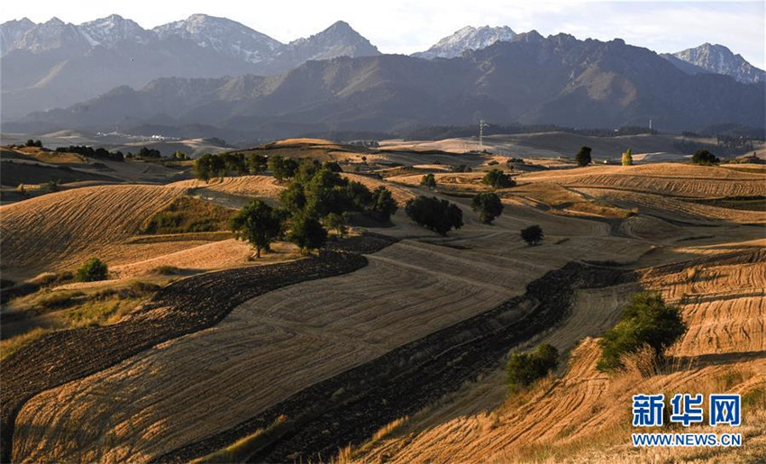 Fröhliche Reise in schönem Xinjiang