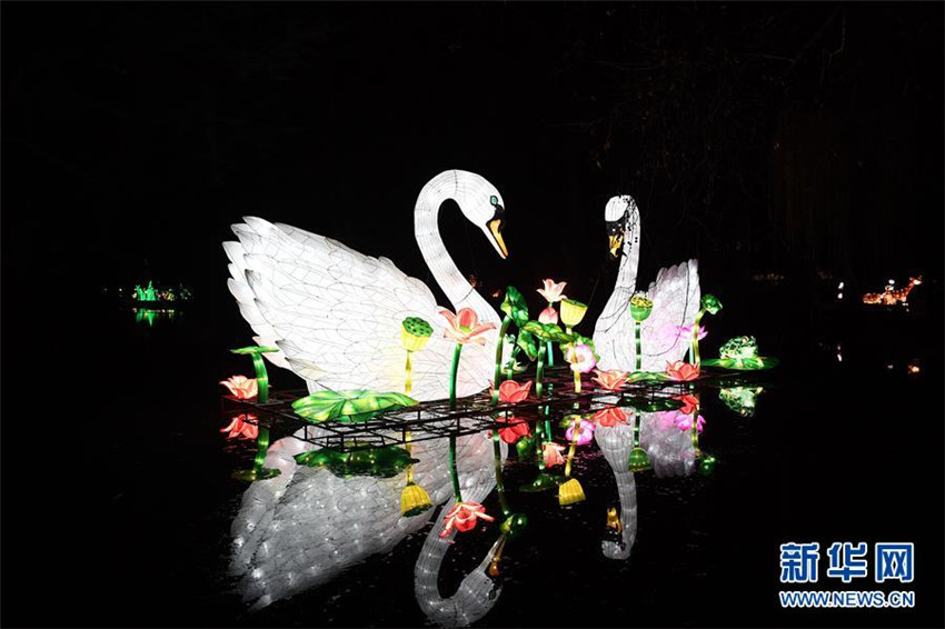 Chinesische Lichter erstrahlen im Kölner Zoo