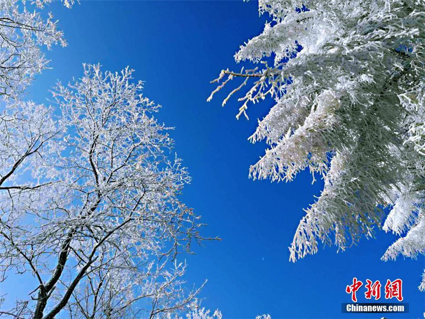 Faszinierende Schneelandschaft in Hubei