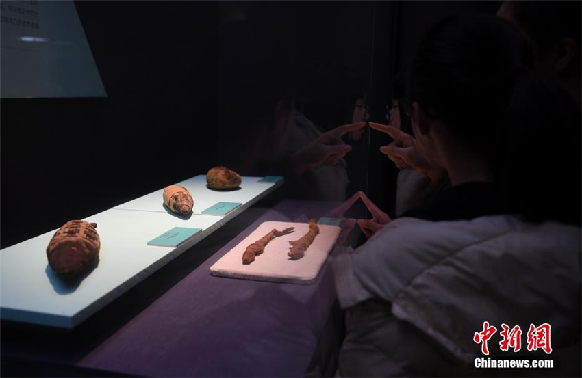 Ausstellung in Hangzhou stellt alte ägyptische Kultur vor