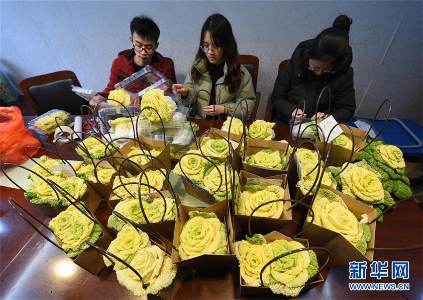 „Chinesischer Rosenkohl“ kommt auf den Markt