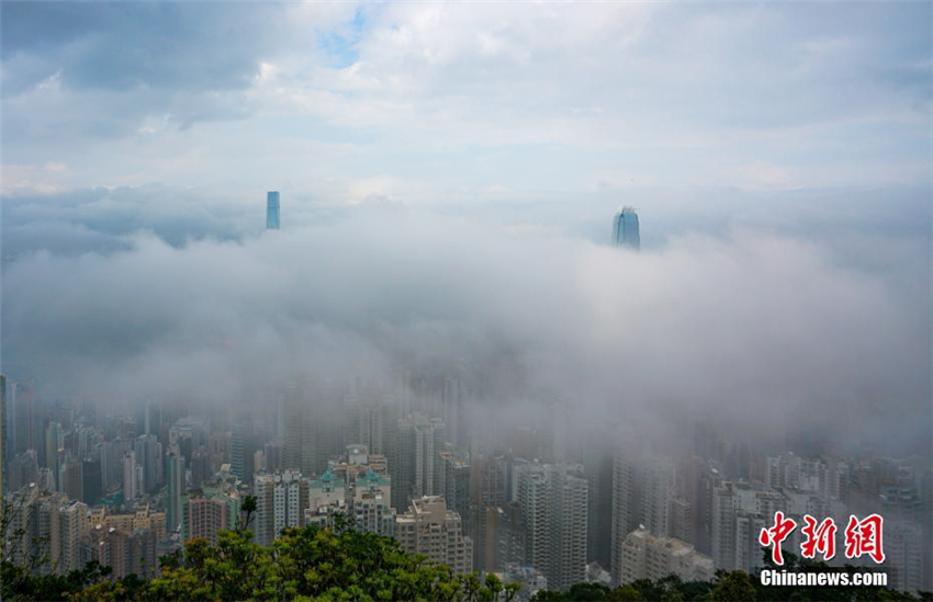 Nebel verwandelt Victoria Harbour in ein Wunderland