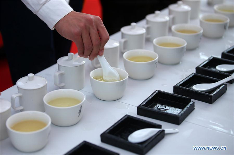 Teewettbewerb in Huangshan