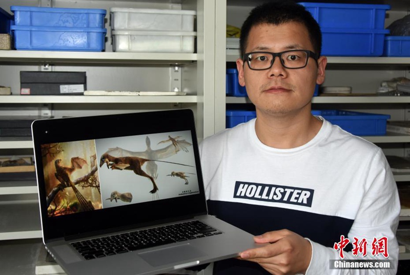 China entdeckt Dinosaurier mit membranartigen Flügeln aus Jurazeit