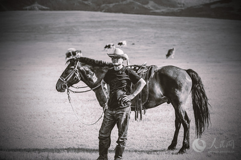 Pferde, Cowboys - Wilder Norden