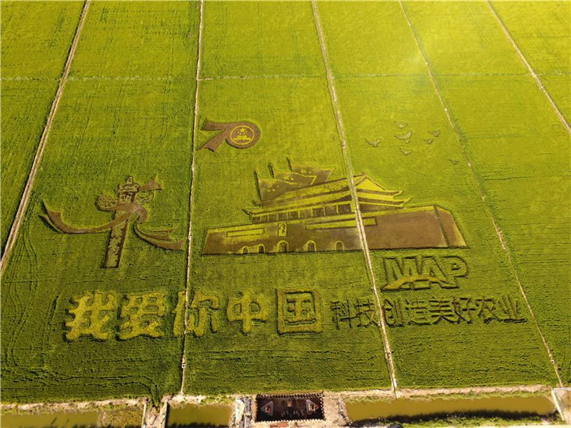 Landwirte feiern Ernte und 70. Gründungsjubiläum der VR China
