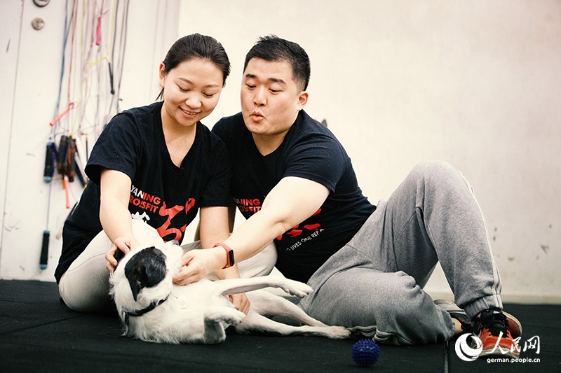 Tanja Trifft...Lost Puppies of Beijing