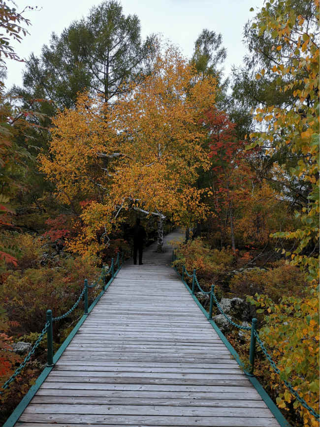 Schöne Herbstlandschaft in der Wudalianchi Scenic Area 