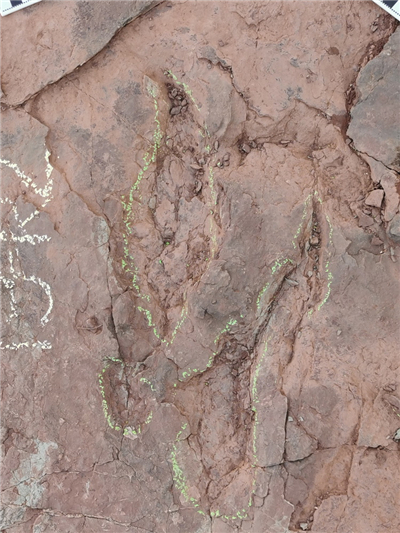 Paläontologen entdecken über 240 Fußabdrücke von Dinosauriern in Südostchina