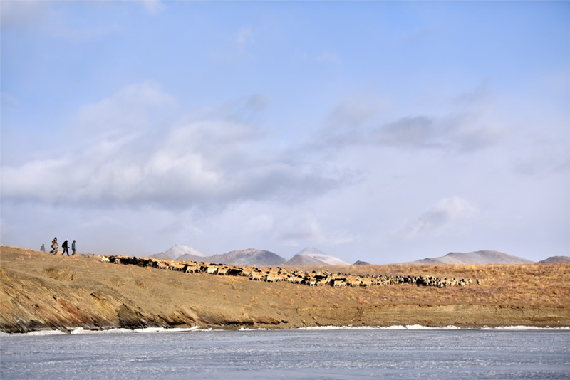 Spektakuläre Schafwanderung auf eisigem See in Tibet
