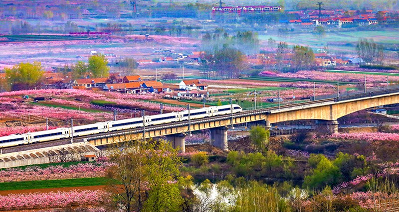 Züge in Shandong bieten herrliche Aussicht