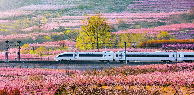 Züge in Shandong bieten herrliche Aussicht