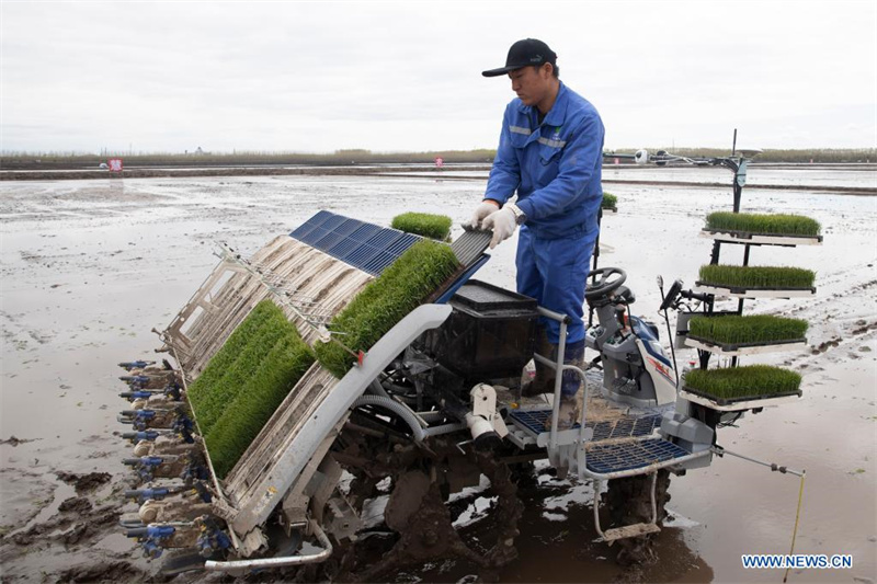 Beidou hilft bei der Entwicklung intelligenter Landwirtschaft in Nordostchina
