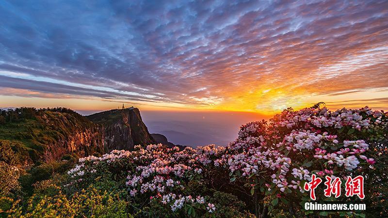 Der 3.099 Meter hohe Gipfel des Mount Emei wird wiedergeöffnet