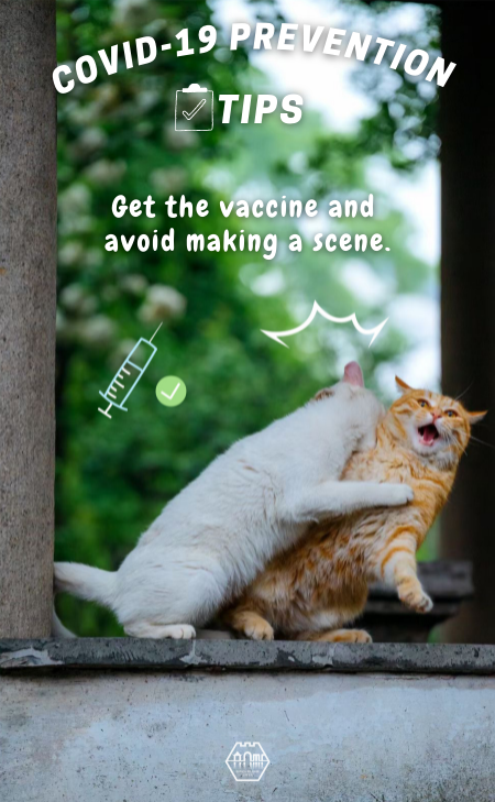 Katzen-Talk: Tipps zur COVID-19-Prävention
