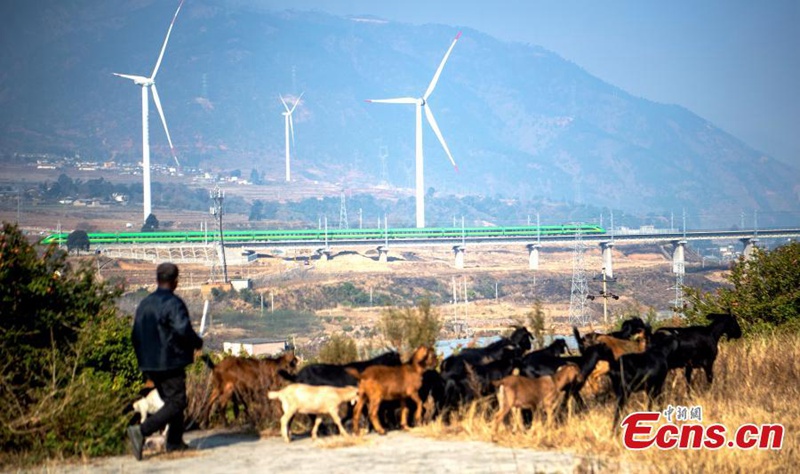„Green Giant“ belebt Süden Sichuans