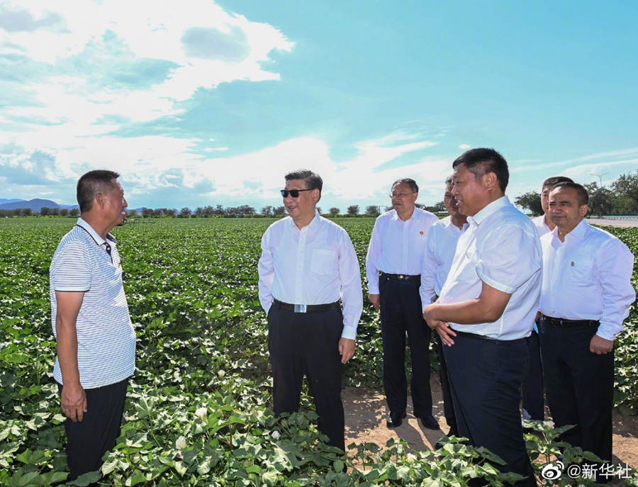 Xi Jinping für Aufbau eines harmonischen, wohlhabenden und schönen Xinjiang