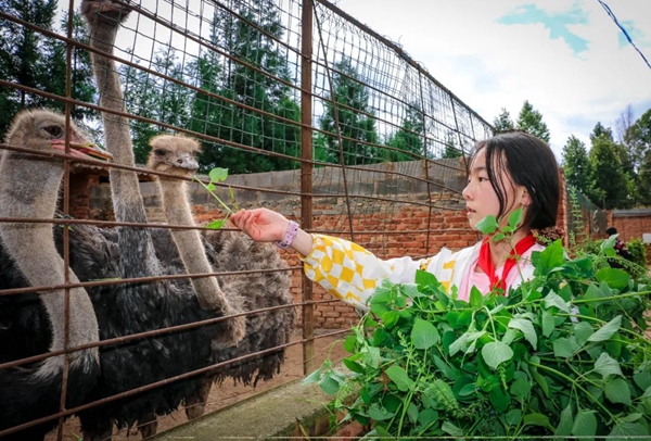 Die Schüler und ihr Bauernhof in Yunnan