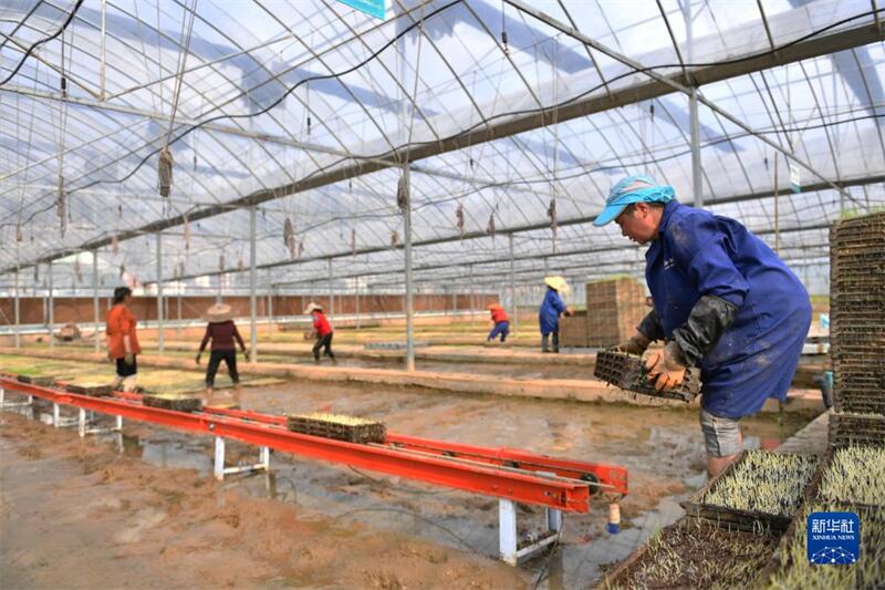 Hunan: Bodenbestellung läuft auf Hochtouren