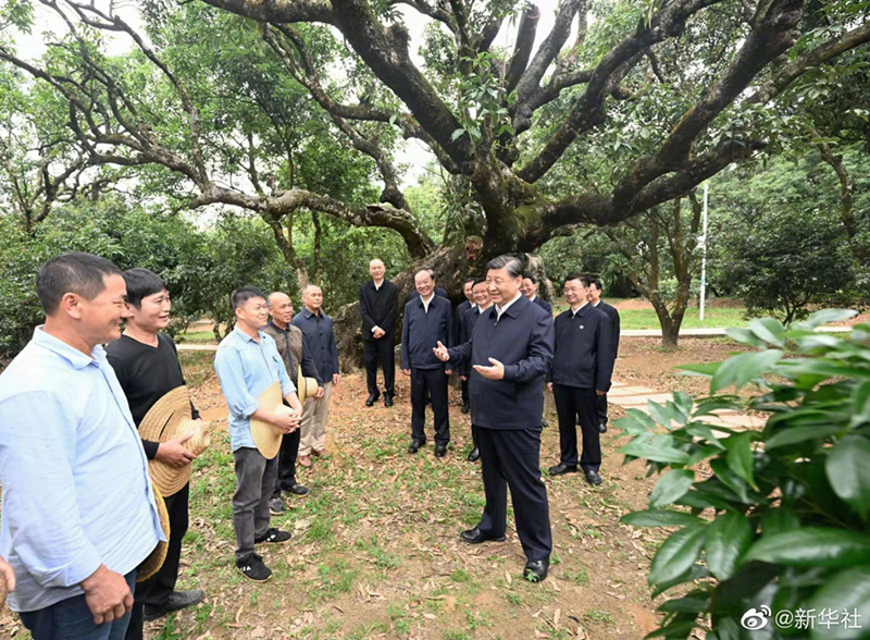 Xi Jinping bekräftigt auf Inspektionsreise in Guangdong umfassende Vertiefung der Reform und Erweiterung der Öffnung nach außen auf hohem Niveau