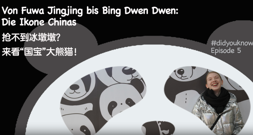 Von Fuwa Jingjing bis Bing Dwen Dwen: Die Ikone Chinas