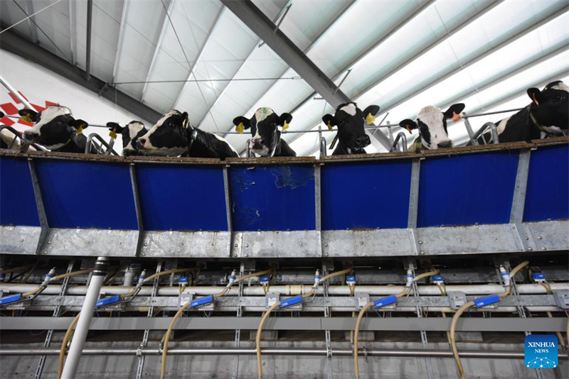 KI-gestütztes Equipment steigert Effizienz der Milchviehbetriebe