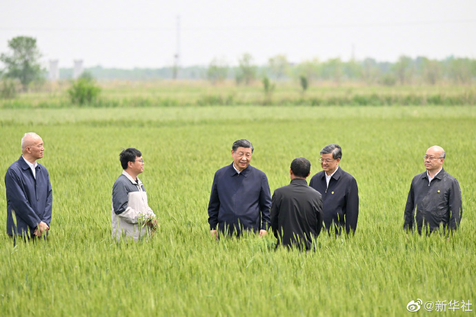 Xi Jinping inspiziert Cangzhou