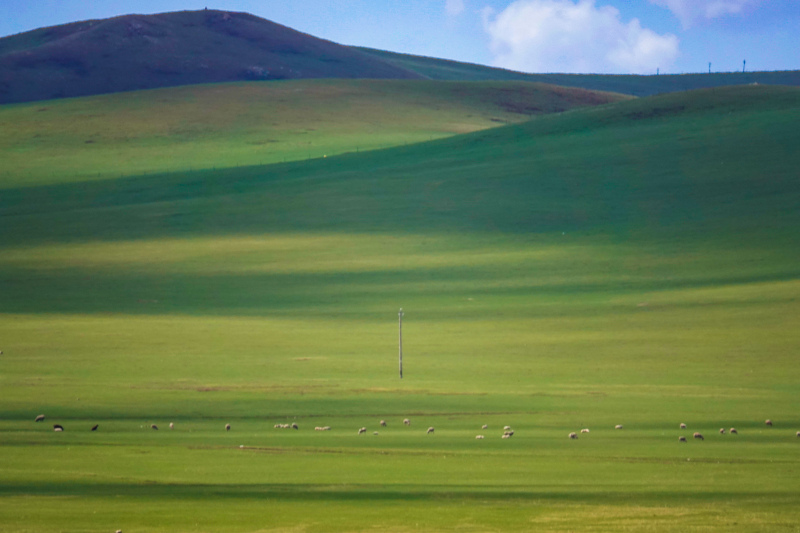 Hulun Buir-Grasland verwandelt sich im Sommer zu einem grünen Teppich