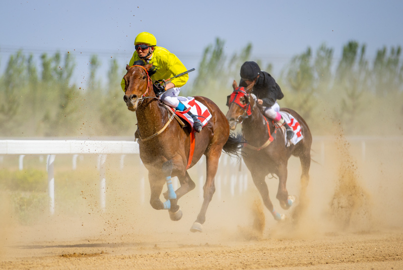 Pferderennsaison in Hohhot: „Geschwindigkeit und Leidenschaft“ auf dem Pferderücken