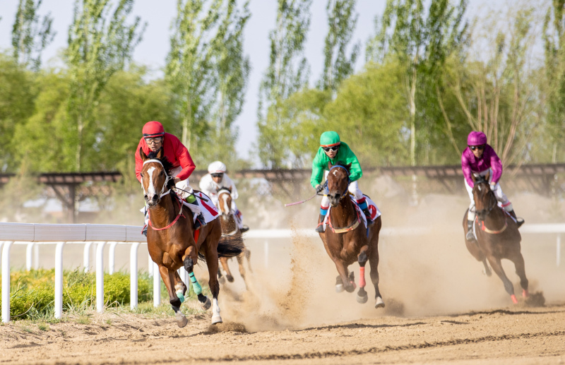 Pferderennsaison in Hohhot: „Geschwindigkeit und Leidenschaft“ auf dem Pferderücken