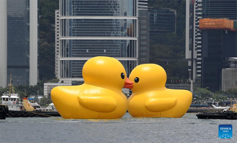 Hongkong begrüßt nach zehn Jahren wieder riesige Gummienten