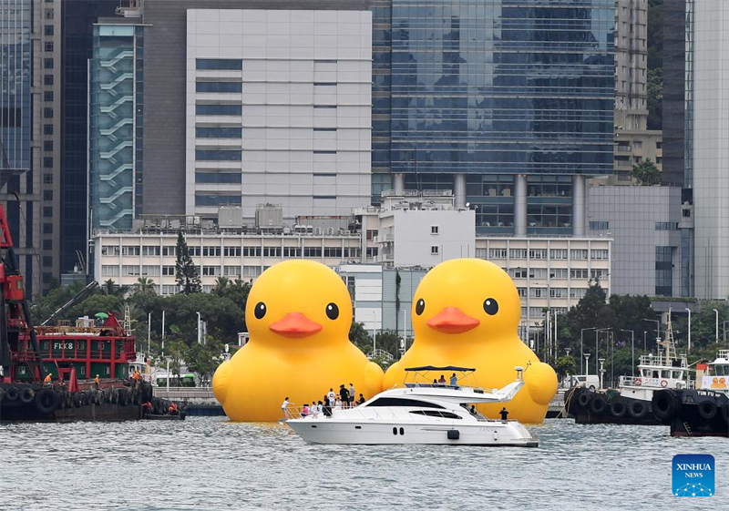 Hongkong begrüßt nach zehn Jahren wieder riesige Gummienten